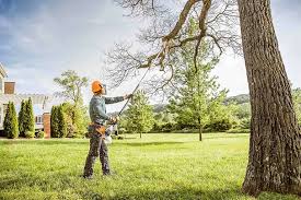 Best Leaf Removal  in San Dimas, CA